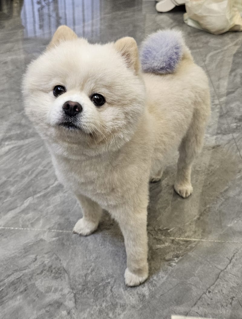 Haha — best shot: close head tilt, both eyes bright, fluffy and sharp