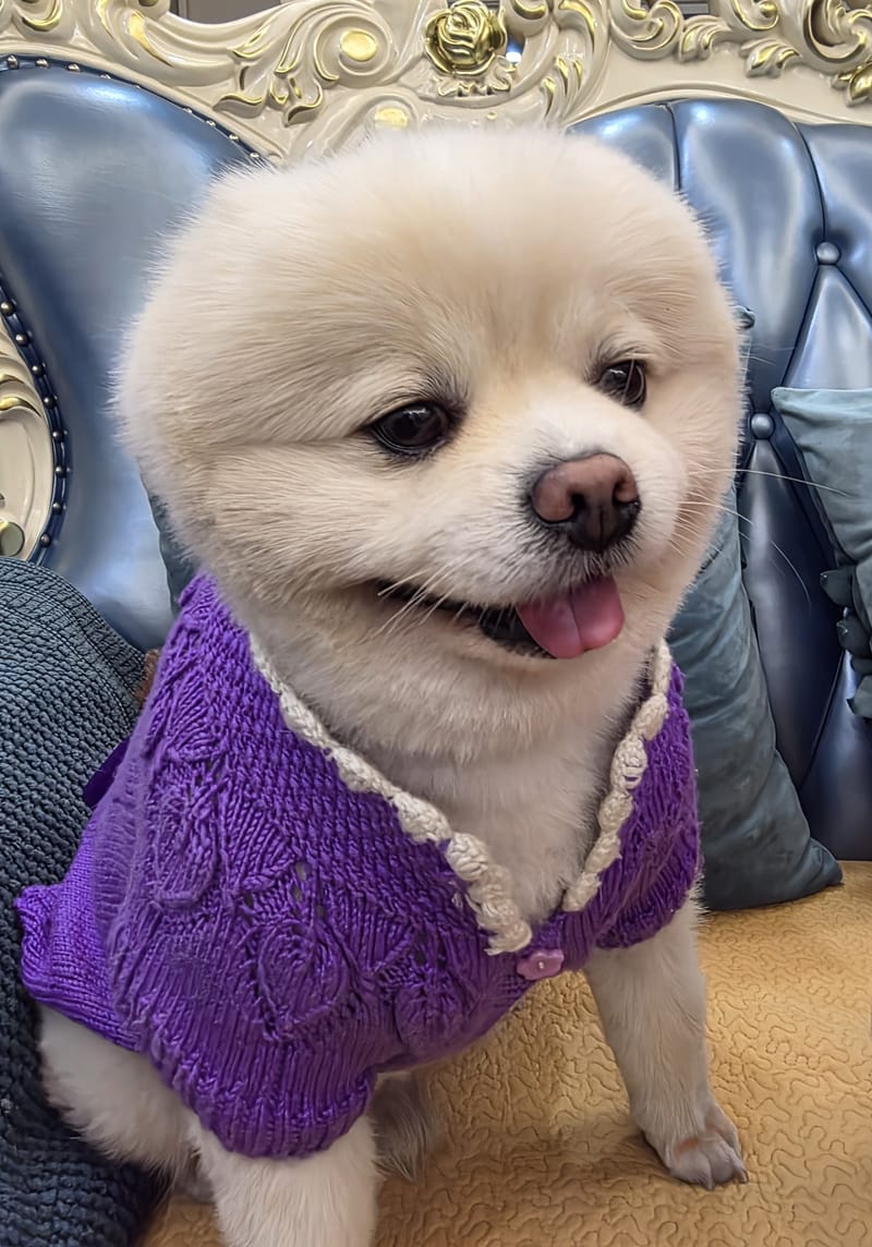 Haha — purple sweater, wide smile, crisp; hand at right edge