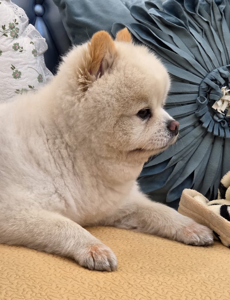 Haha — looking straight at camera, soft smile, tongue tip out
