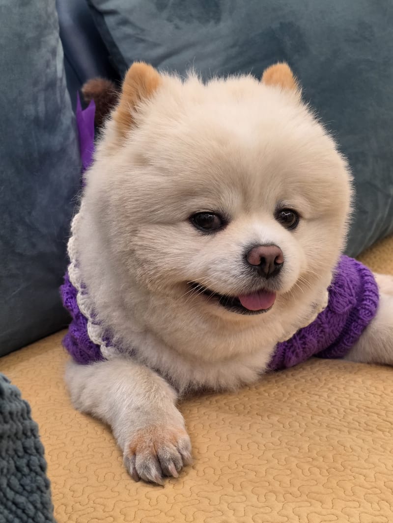 Haha — best of set: eyes open, tongue out, looking at camera
