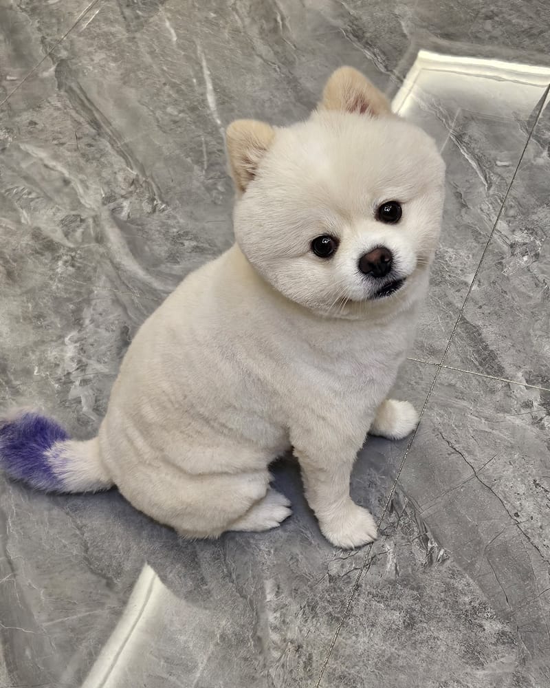 Haha — sitting head tilt, eyes on camera, clean marble floor