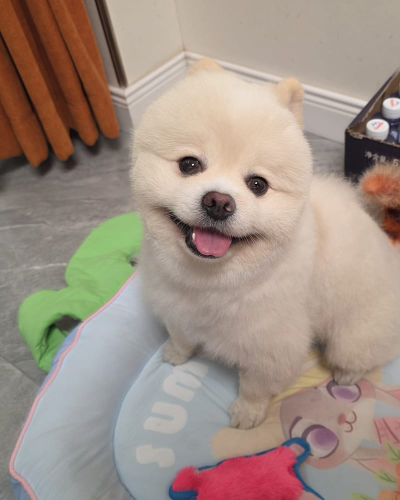 Haha — sitting in bunny bed, wide smile, eyes to camera; water case behind