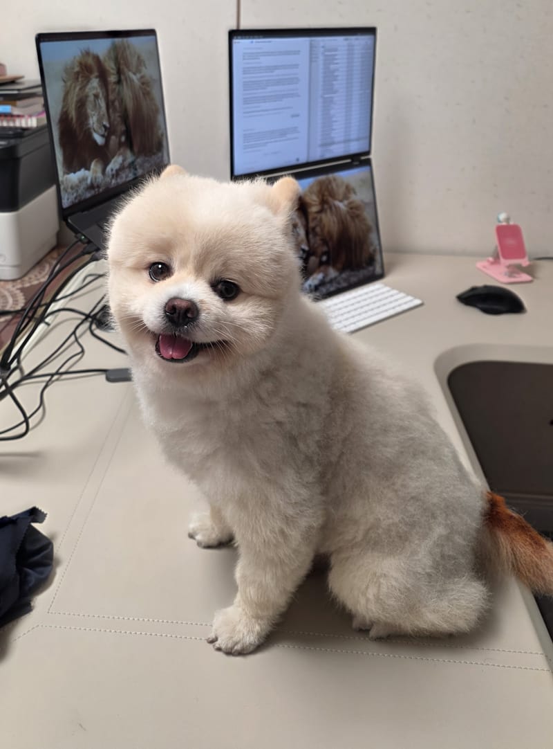 Haha — sitting on desk smiling at camera, head tilt; cables at left