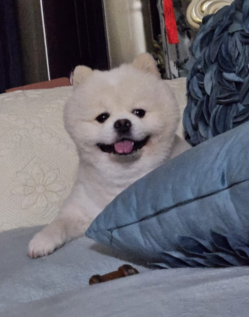 Haha — peeking over pillow with big smile; dim night light